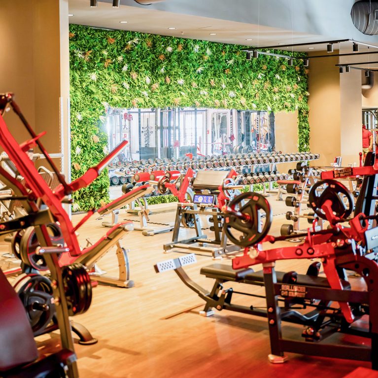 FitStop Fitnessstudio Erfurt Fitnessstudio Freising Fitnessstudio Landshut Fitnessstudio Fulda Fitnessstudio Roth Fitnessstudio Unterschleißheim Workout Abnehmen Sport Muskelaufbau Trainieren Fitness Cardio Fitnessstudio-Wechsel